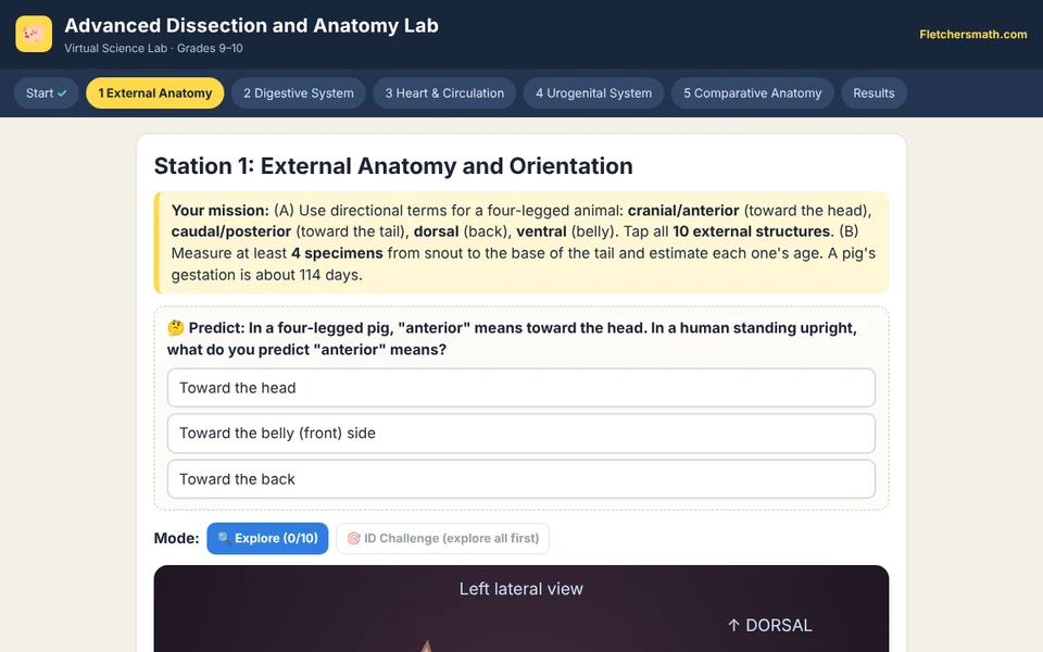 Screenshot of Advanced Dissection and Anatomy Lab