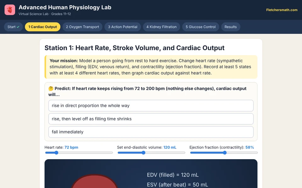 Screenshot of Advanced Human Physiology Lab