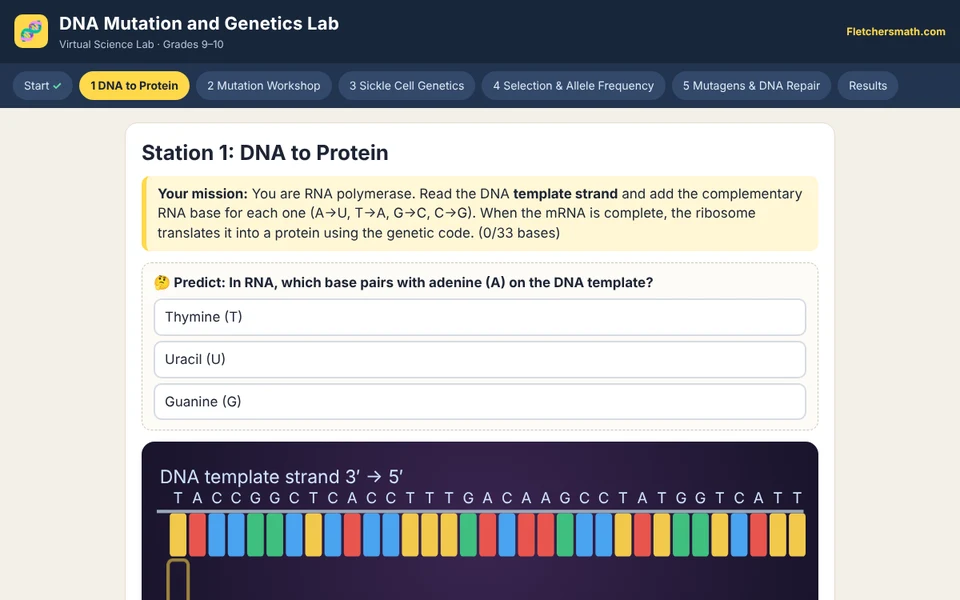 Screenshot of DNA Mutation and Genetics Lab