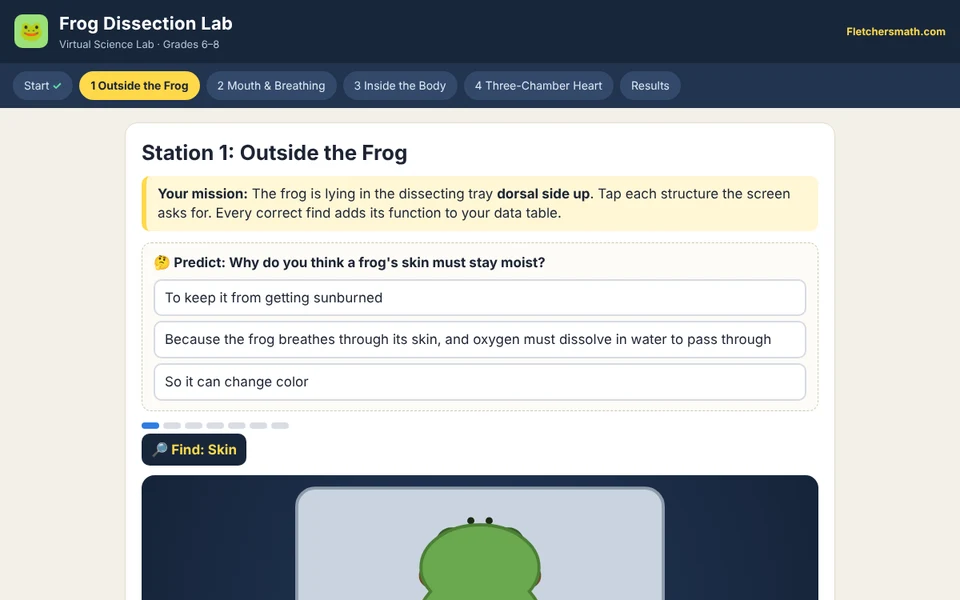 Screenshot of Frog Dissection Lab