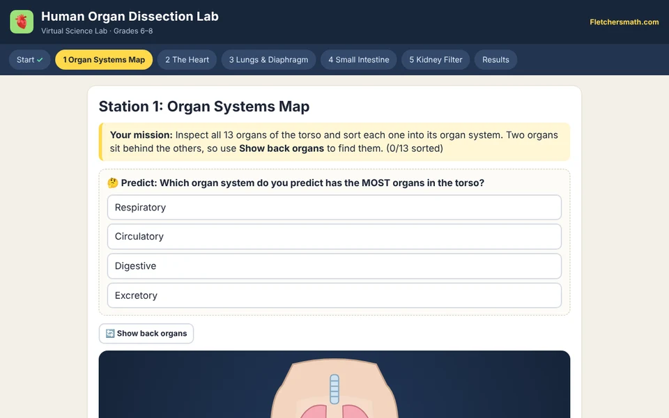 Screenshot of Human Organ Dissection Lab