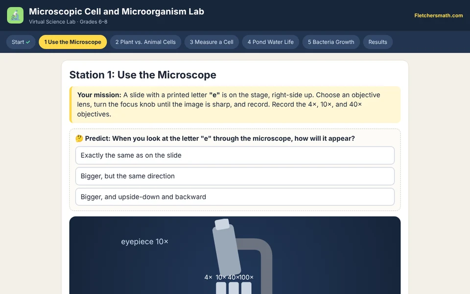 Screenshot of Microscopic Cell and Microorganism Lab